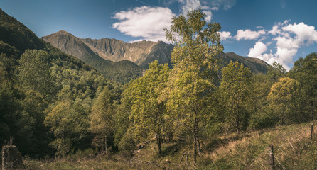 landscape in the mountains