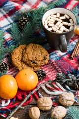 Hot drink with marshmallows, walnuts, mandarines and cookies on warm scarf