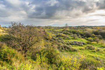 Dutch dune landscape Kraansvlak at coastal town of  Zandvoort during  autumn
