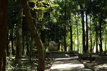 Fototapeta premium road in park