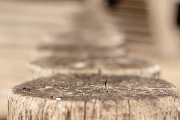 texture of old wood used as natural background
