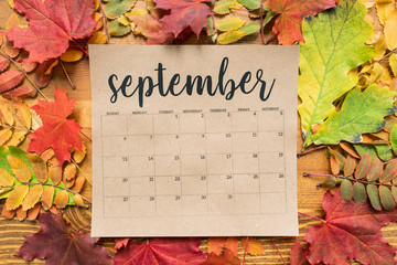 September calendar sheet with autumn leaves of red, yellow and green color
