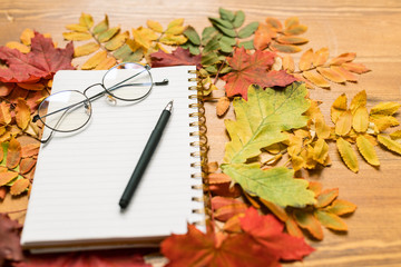 Composition consisting of colorful leaves and copybook with pen and eyeglasses