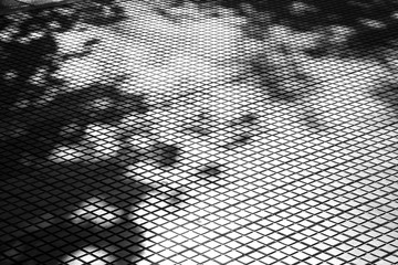 Shadows of trees on tiled city pavement in high contrast black and white