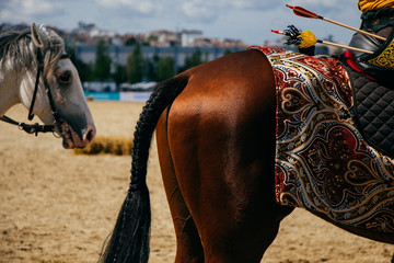 Old style wooden arrows in the case  on horseback