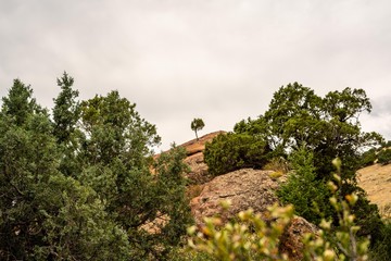 Red Rocks near Denver Colorado