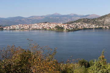 Fototapeta na wymiar Panorama of a mountain lake and the city