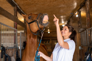 Young cheerful sporty woman trying to touch nose of brown purebred racehorse