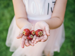 Naklejka premium Freshly cut strawberries in the hands of little girl