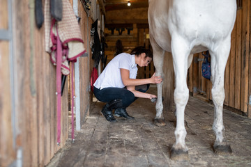Young woman in skinny jeans and white shirt using brush to clean legs of horse