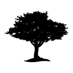 Tree logo	