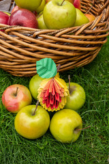 Apple harvest background, wicker basket on green grass, top view papercraft origami art with red berries