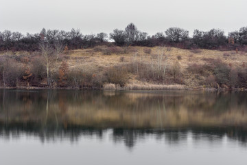 Beautiful reflections of birch trees and reed in calm lake water with a lot of space for text