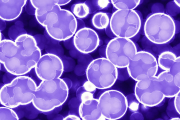 Shape of bacterial cell: cocci, bacilli, spirilla bacteria 