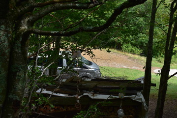 Obraz premium Naturaleza