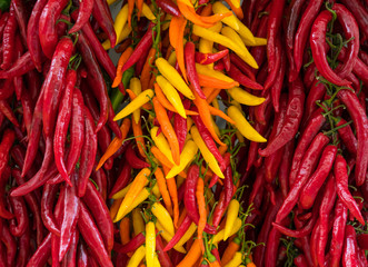 red yellow and green chili peppers