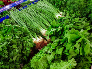 Fototapeta premium Variety of green vegetables in a supermarket. Consumption of green vegetables has increased in recent years, as more people try to follow a healthy lifestyle.