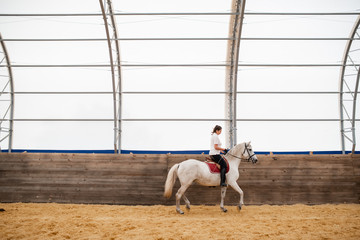 Young female moving along wooden fence while sitting on back of white horse