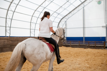 White racehorse with young active woman on back moving down sandy arena