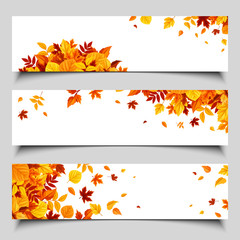 Naklejka na ściany i meble Set of three vector web banners with colorful autumn leaves.