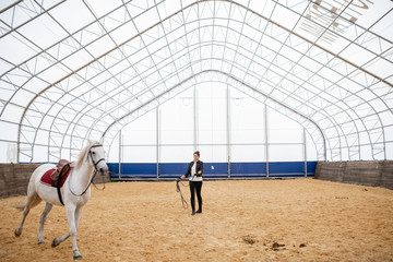 Active girl with bridles looking at white purebred racehorse riding down arena