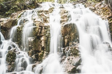 waterfall in the forest