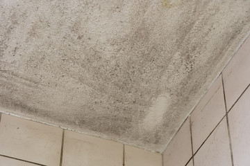 Spot of mold, mould, mildew or fungas on corner of ceiling above dirty tile pale pink wall.