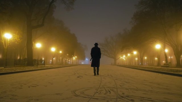 Silhouette of man with hat and coat walking winter park