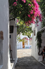 Colourful streets and pink flowers of the old town, Mykonos, Greek Islands