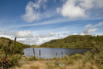 Fototapeta na wymiar Panoramic view of the Laguna Verde, a natural lake at the Teatinos paramo, in the highlands of the Andean mountains of central Colombia.
