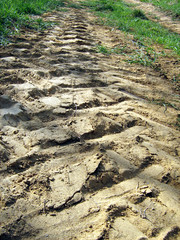 Tractor wheel imprints in a summer afternoon