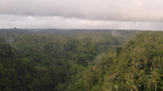 Aerial of jungle rain forest at sunset in Bali