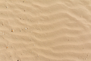 background sand texture dune pattern wave