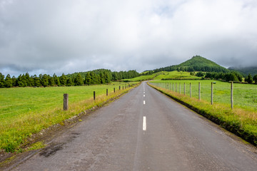 Fototapeta na wymiar Traditional empty road in São Miguel island, Azores, Portugal