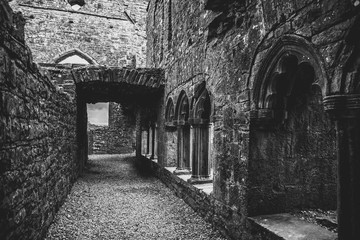 Bective Abbey 