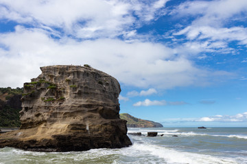 Fototapeta na wymiar view of Muriwai beach, north island, new zealand