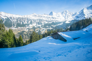Walking between Murren (M&uuml;rren) village In Switzerland to the cable car station in a very beautiful path through an amazing snowy landscape of mountains and trees fully covered by snow. 