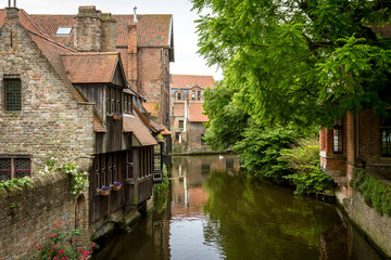 Fototapeta na wymiar House on the water and a floating swan in Bruges, Belgium