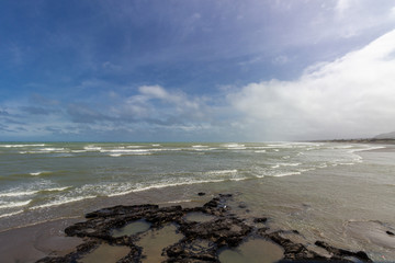 view of Muriwai beach, north island, new zealand
