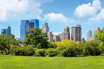 Iconic view of sunlit New York city skyline from flourishing Central Park at spring, with foreground grass, bushes and trees