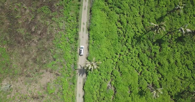 Aerial view of car with surfboards on the roof