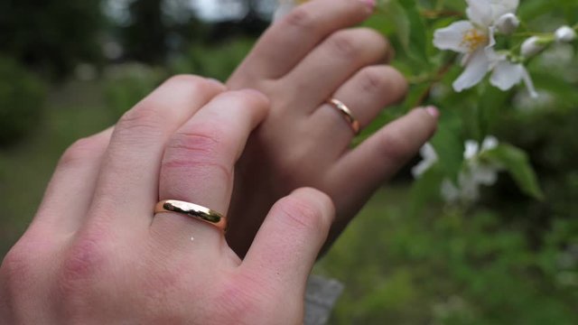 Male and female hand with wedding gold rings. A female hand holds on to a flower, a male hand rests on a female hand. Shooting with a 3-axis motorized gimbal stabilizer.