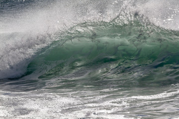 Backlit Ocean wave in Hawaii