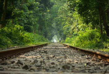 railway in the forest