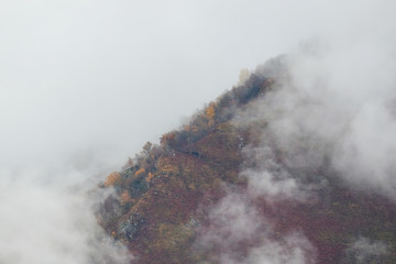 Brouillard