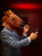 maska konia © Tomasz