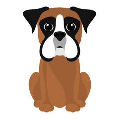Isolated cute boxer cartoon. Dog breeds - Vector