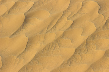 Fototapeta na wymiar Amazingly fine particles of Sahara desert golden sand creating a seamless pattern of miniature dunes created by wind