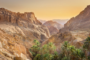 Fototapeta na wymiar Beautiful Chebika mountain oasis in the middle of Sahara desert in Tunisia, sunlit palm trees, golden hour sky and impressive rocky cliffs