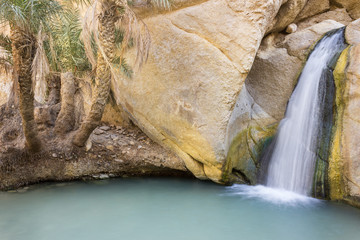 Beautiful, iconic, Sahara desert mountain oasis Chebika waterfall, palm tree, blue water, sunlit rocks and vivid golden moss